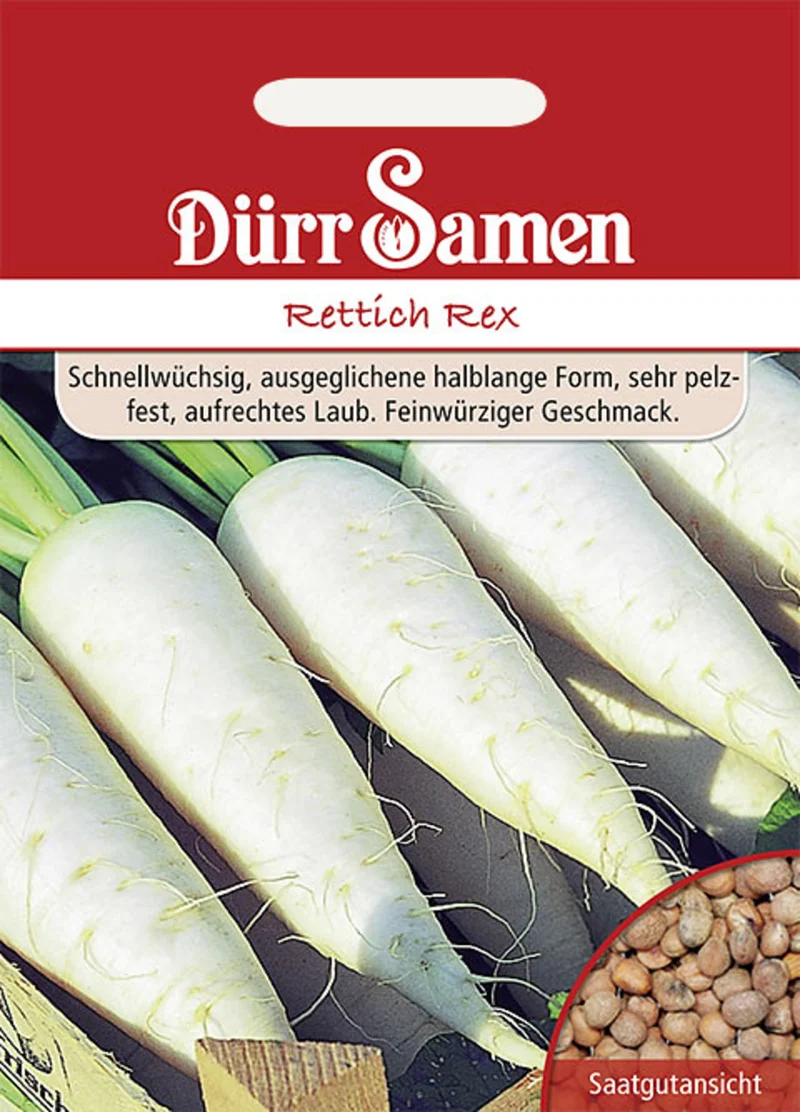 Rettich Rex Saatgut