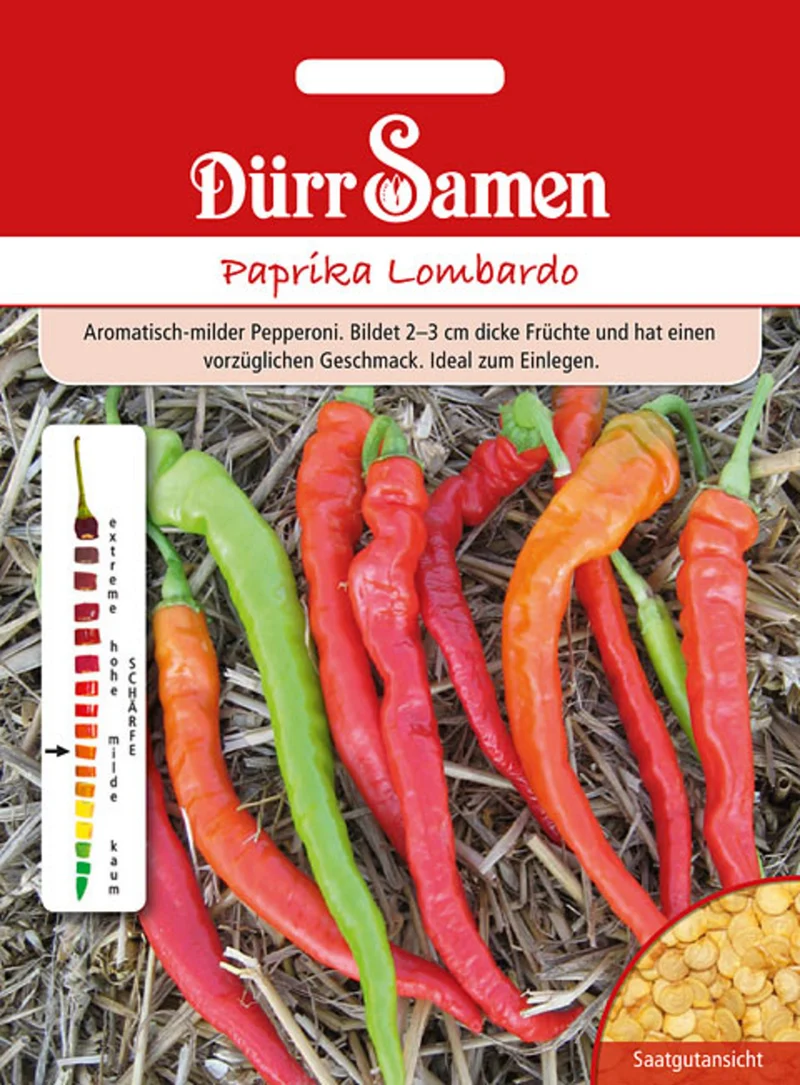 Paprika Lombardo Saatgut