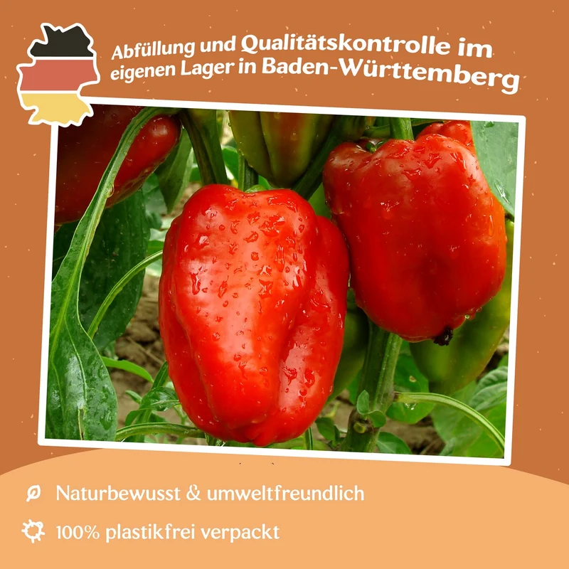 Paprika Robertina Samen