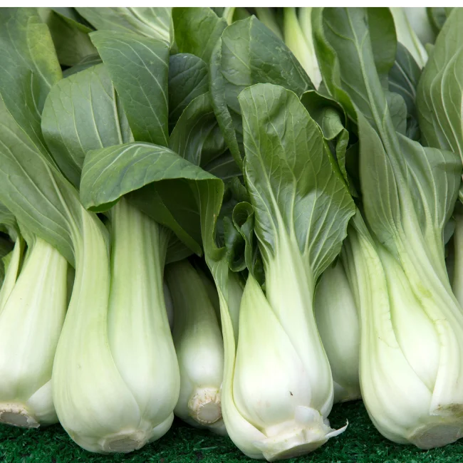 Pak Choi: Yorokobi Organic Seed
