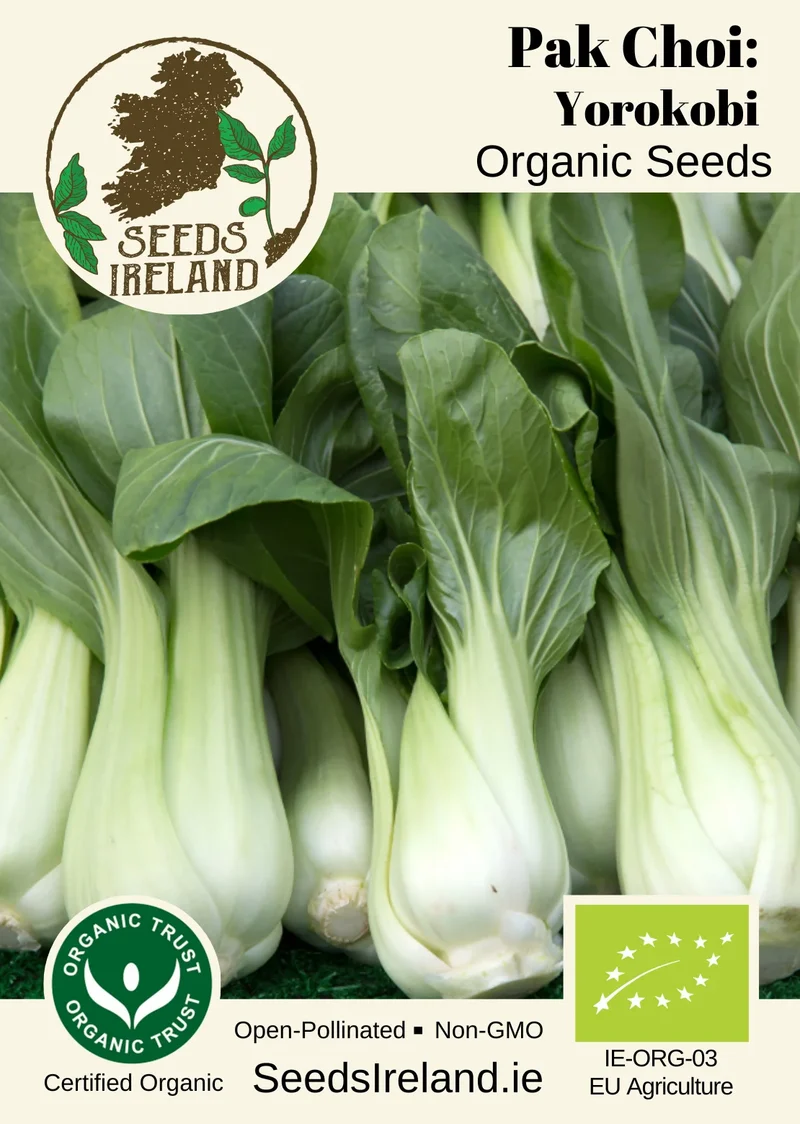 Pak Choi: Yorokobi Organic Seed