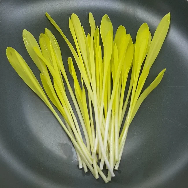 Organic Microgreen Seed: Corn (Popcorn)