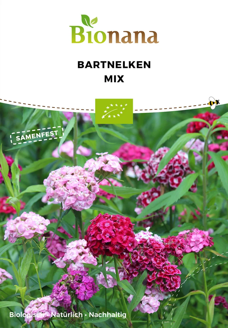 Bartnelken Mix | BIO Nelkensamen von Bionana [MHD 12/2025]