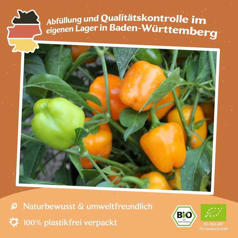 Bio-Paprika Sweet Julie Samen