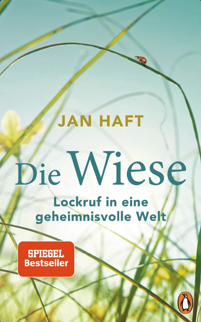 Die Wiese