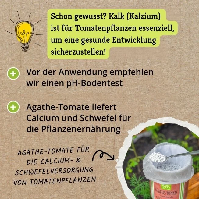 Agathe-Tomate, 600 g Pappdose