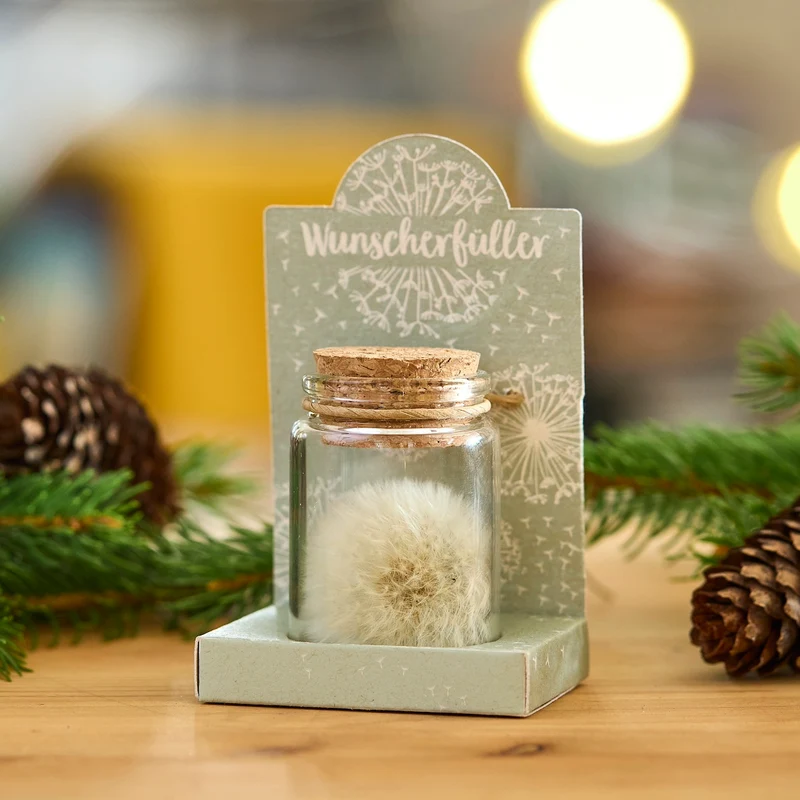Wunscherfüller – Pusteblume im Glas
