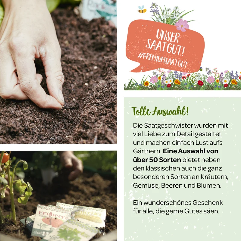100 g BIO Wildblumen-Saatgut