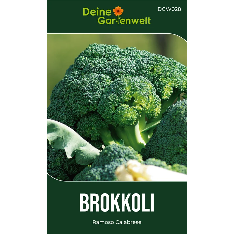 Brokkoli Ramoso Calabrese Saatgut