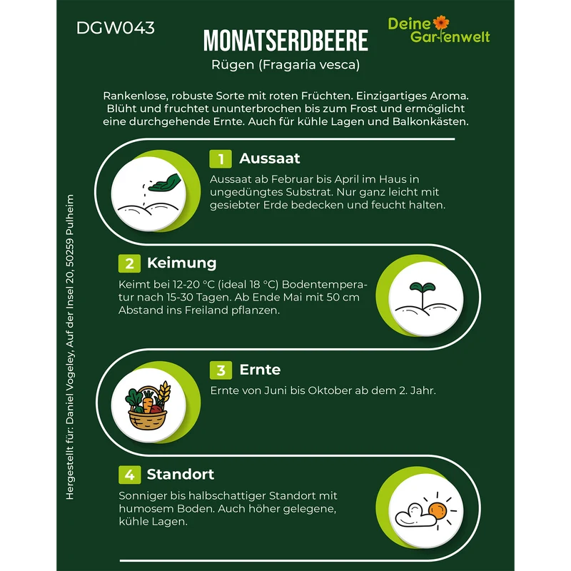 Monatserdbeeren Rügen Saatgut