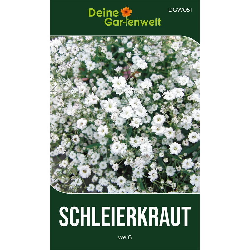 Stauden Schleierkraut weiß Saatgut