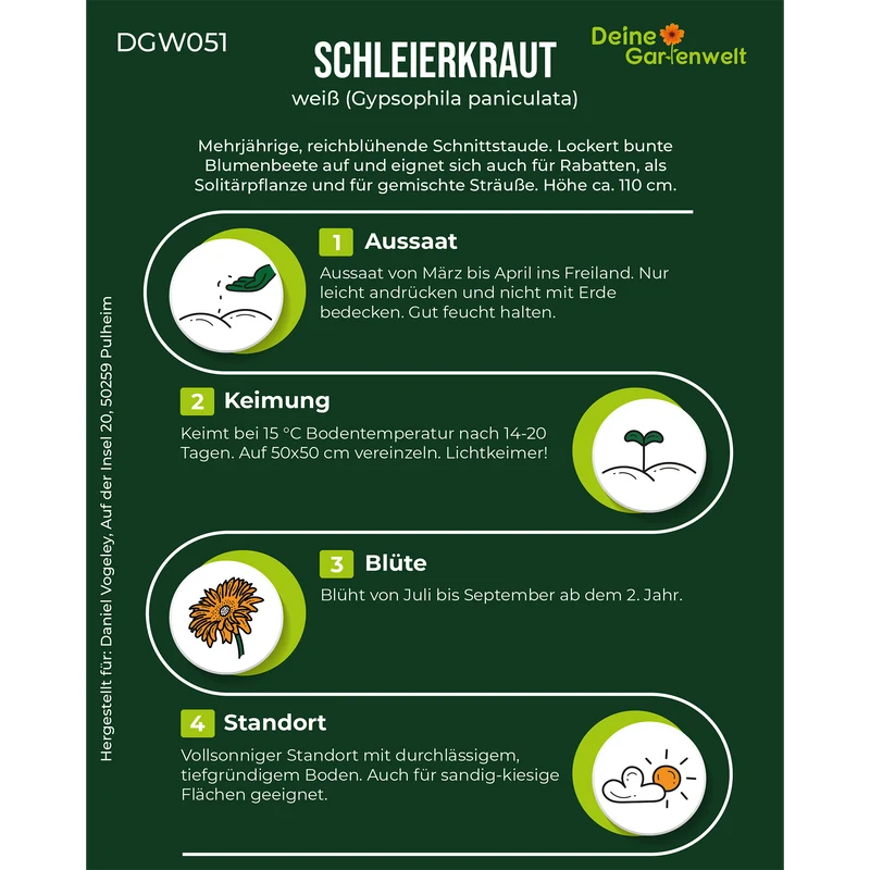 Stauden Schleierkraut weiß Saatgut