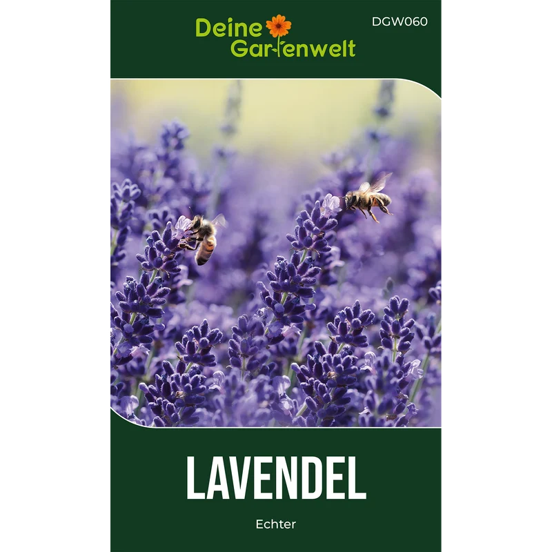Lavendel Echter Saatgut