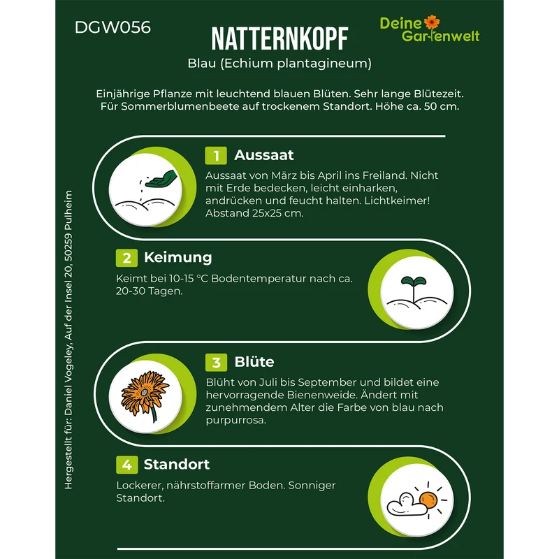 Natternkopf blau Saatgut