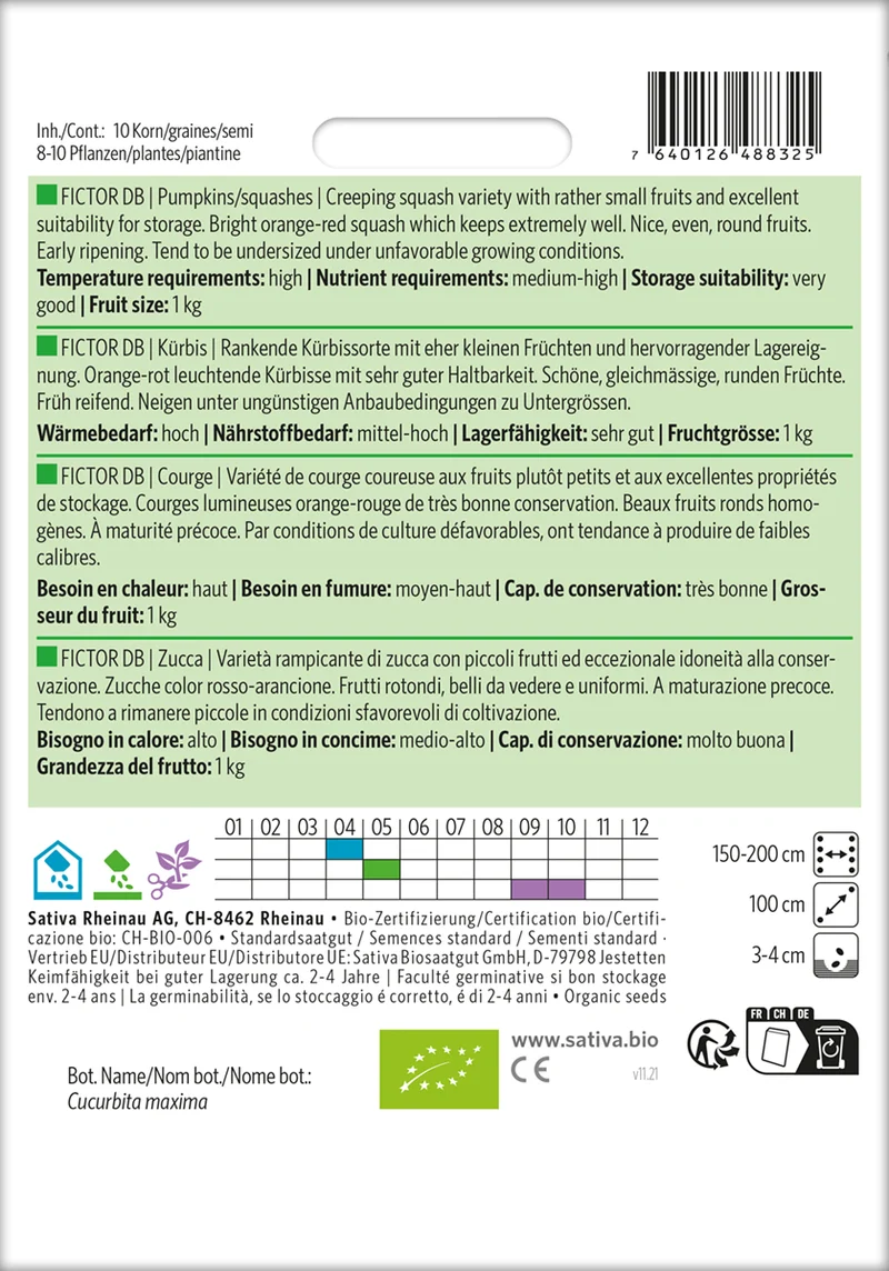Kürbis Fictor DB | BIO Kürbissamen von Sativa Rheinau