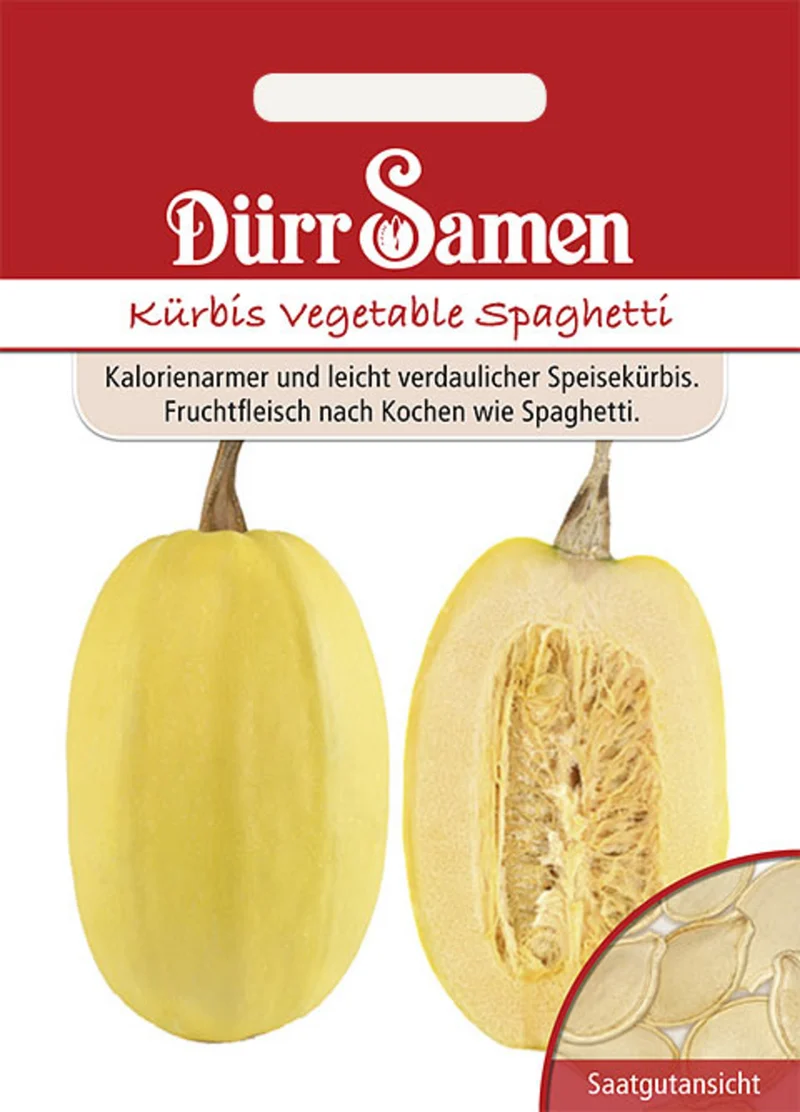 Spaghetti Kürbis Vegetable Spaghetti Saatgut