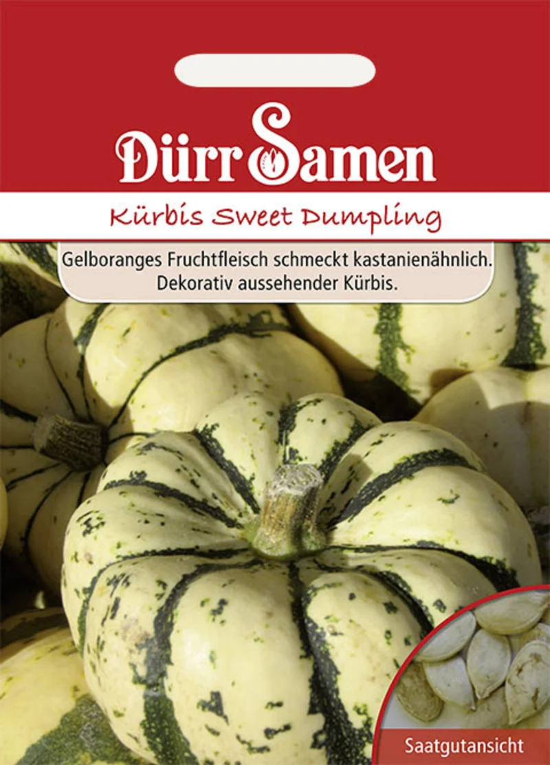 Kürbis Sweet Dumpling Saatgut