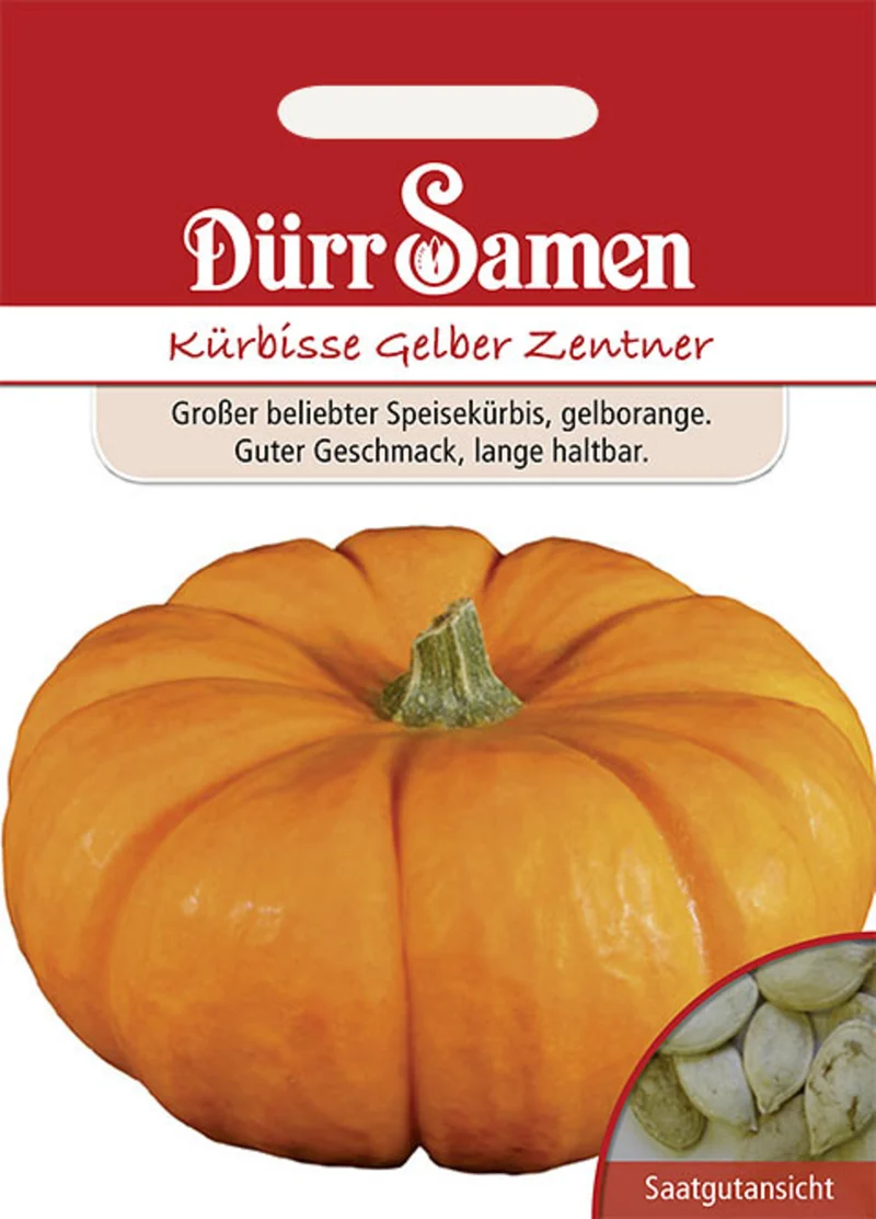 Kürbis Gelber Zentner Saatgut