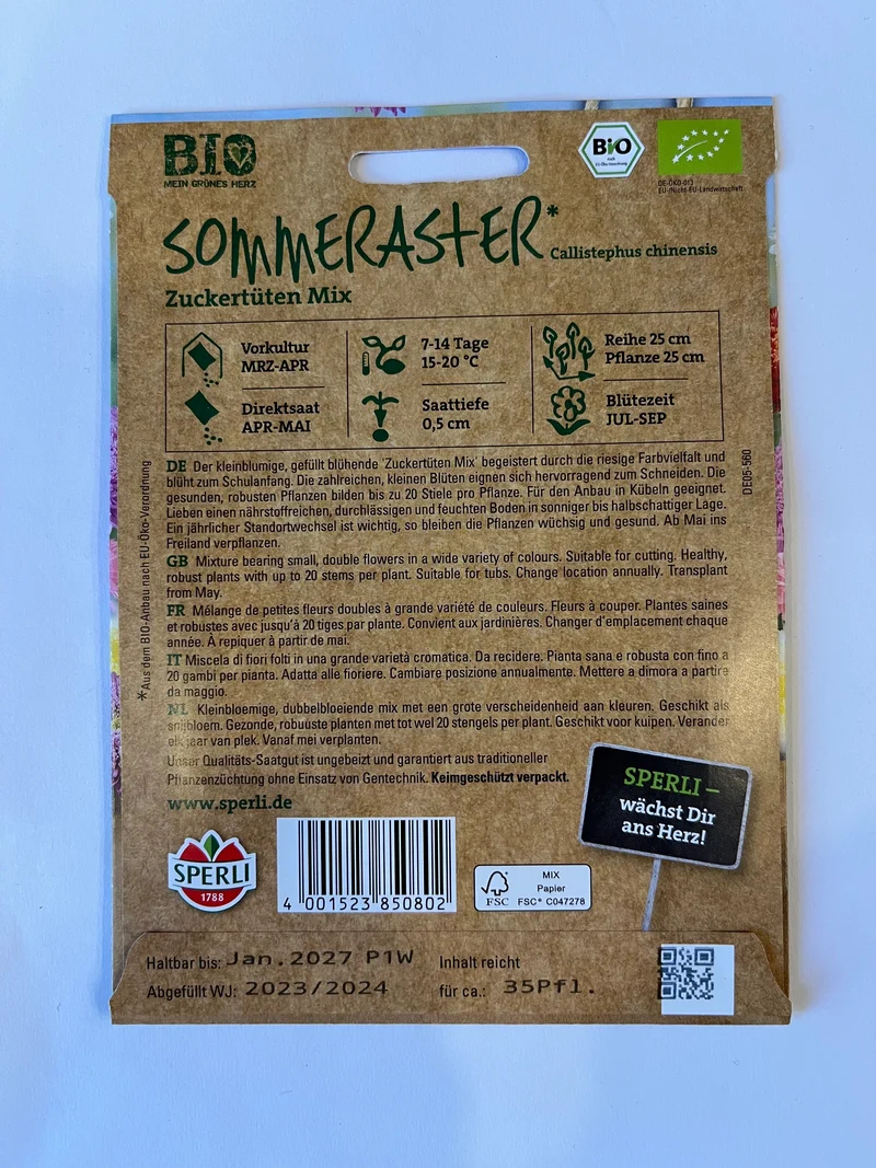 Sommeraster