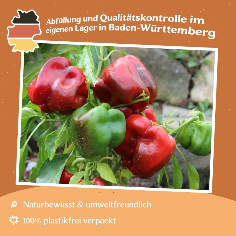 Paprika Quadrato d'Asti rosso Samen MHD 06/27