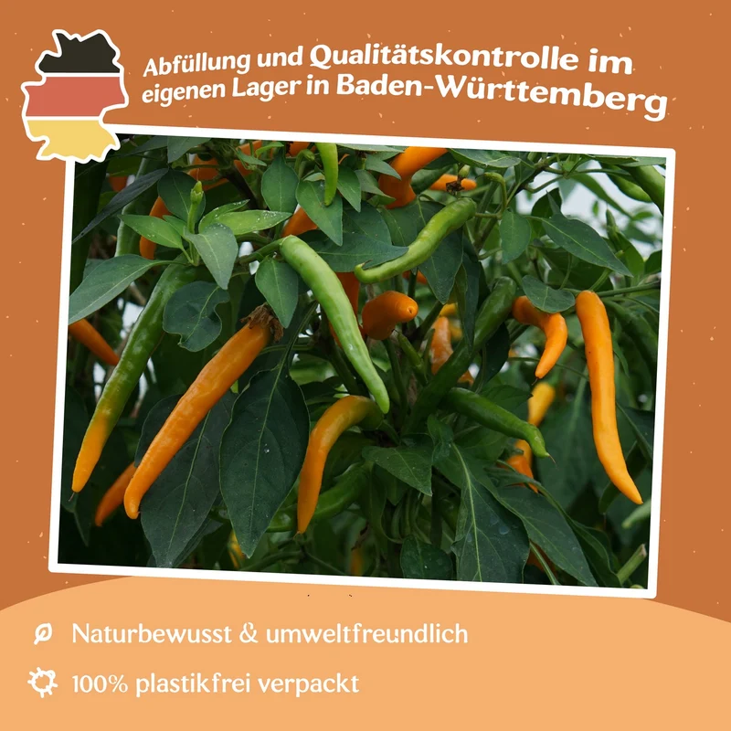 Chili Kilian Samen MHD 06/27
