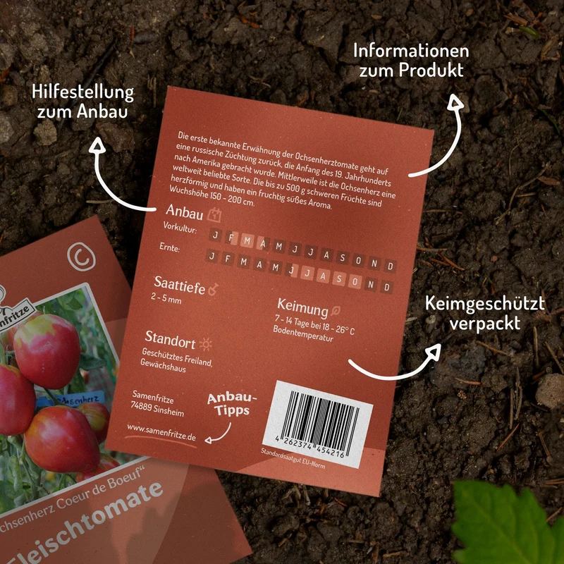 Ochsenherz Coeur de Boeuf Tomatensamen