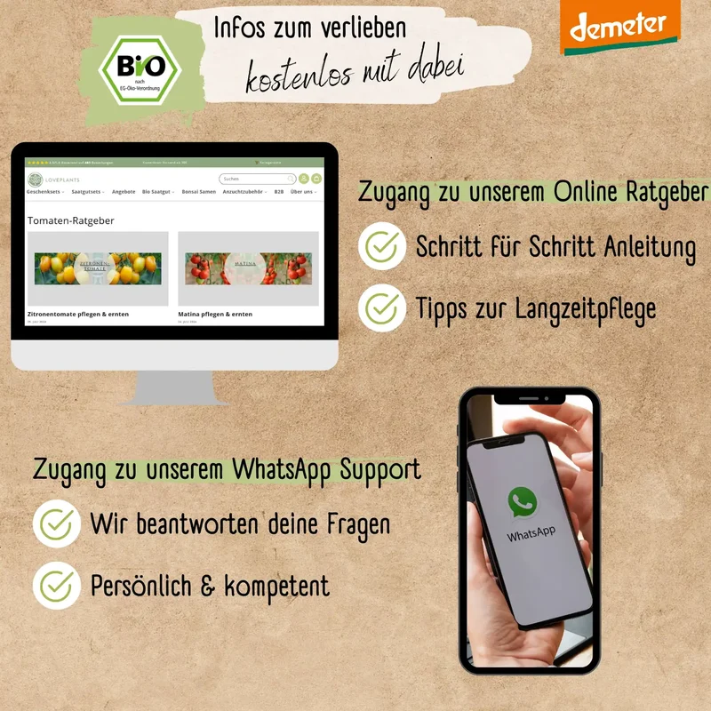 Dein 12 Demeter Historisches Tomaten Samen Set