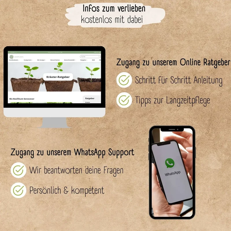 Bio Kräuter Anzuchtset