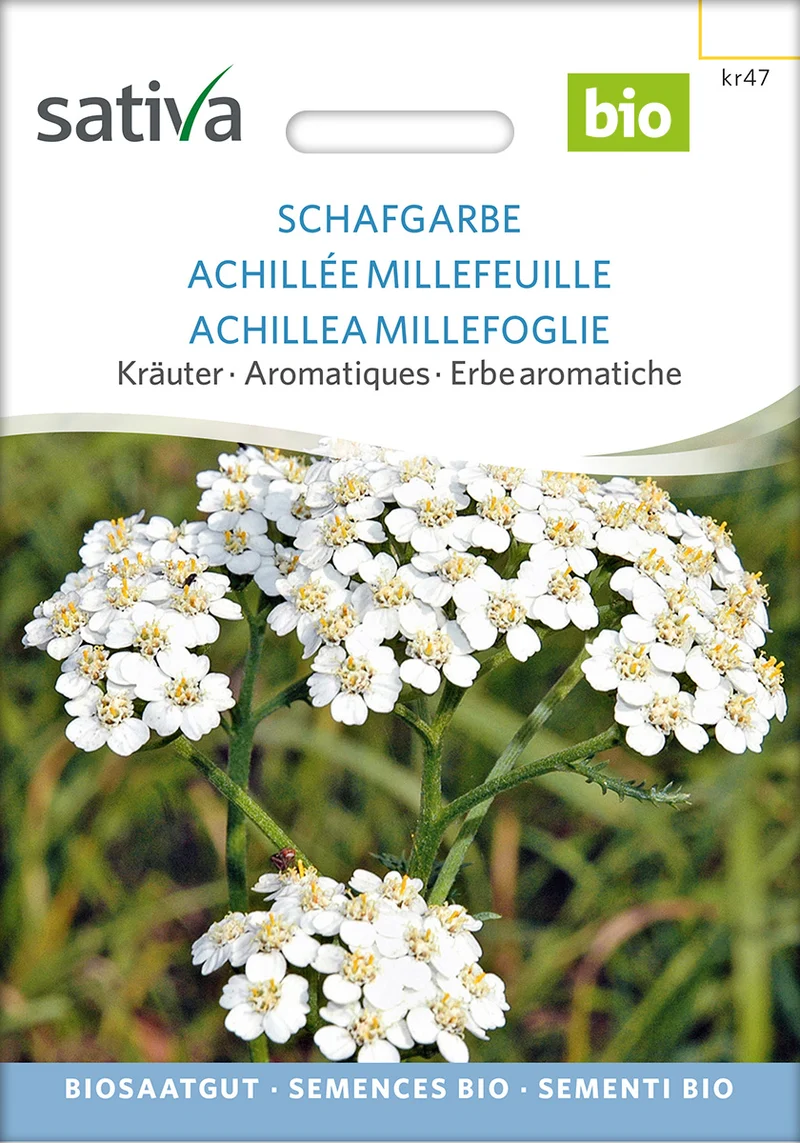 BIO Saatgut Schafgarbe