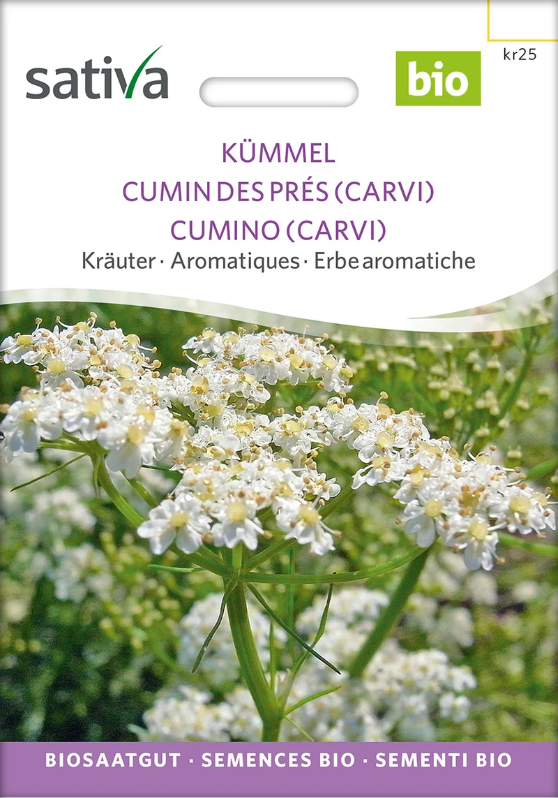 BIO Saatgut Kümmel