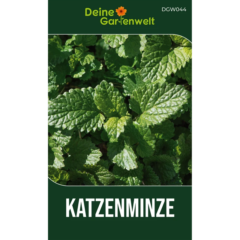 Katzenminze Saatgut