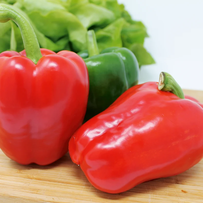 Paprika California Wonder Saatgut