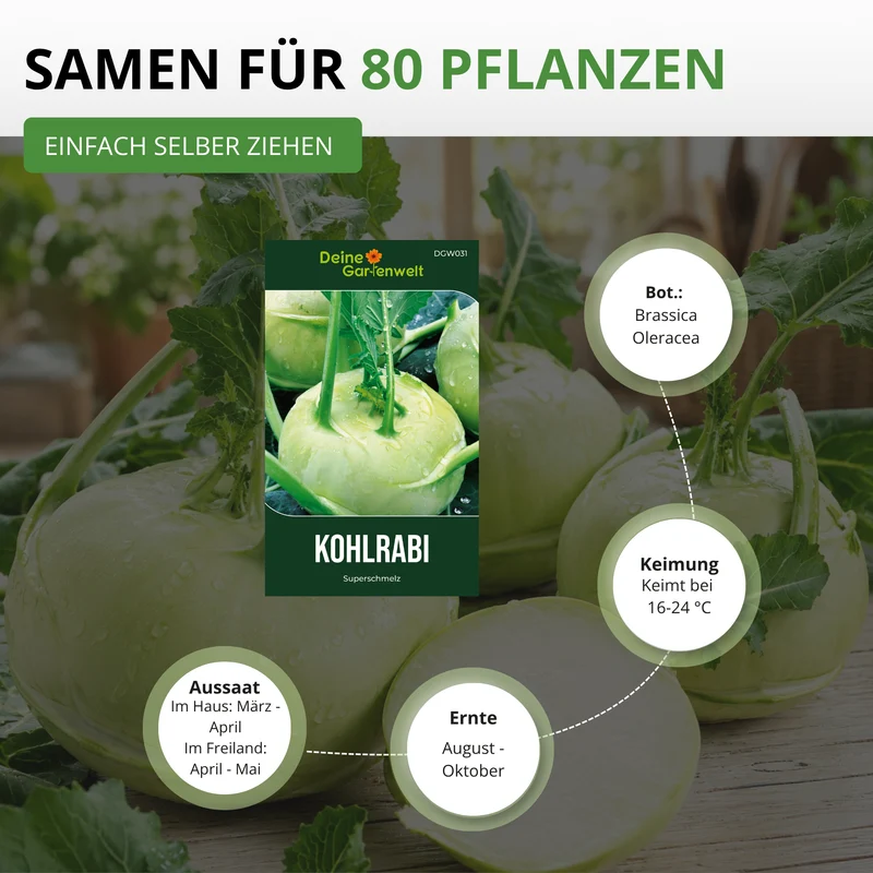 Kohlrabi Superschmelz Saatgut