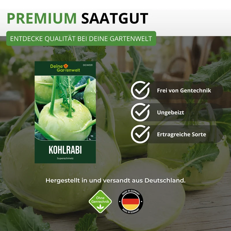 Kohlrabi Superschmelz Saatgut
