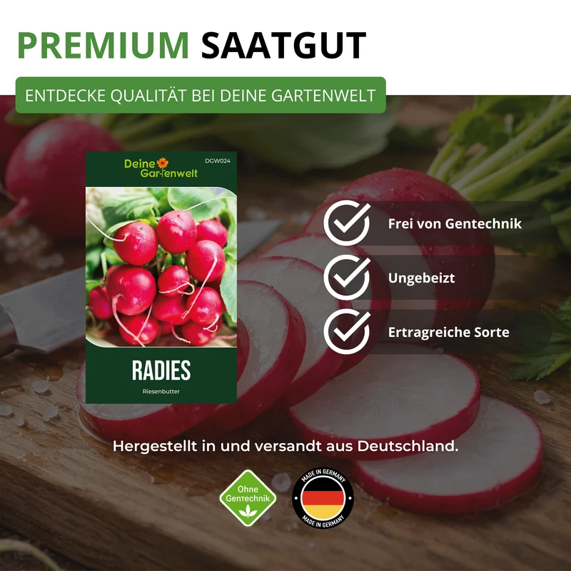 Radieschen Riesenbutter Saatgut