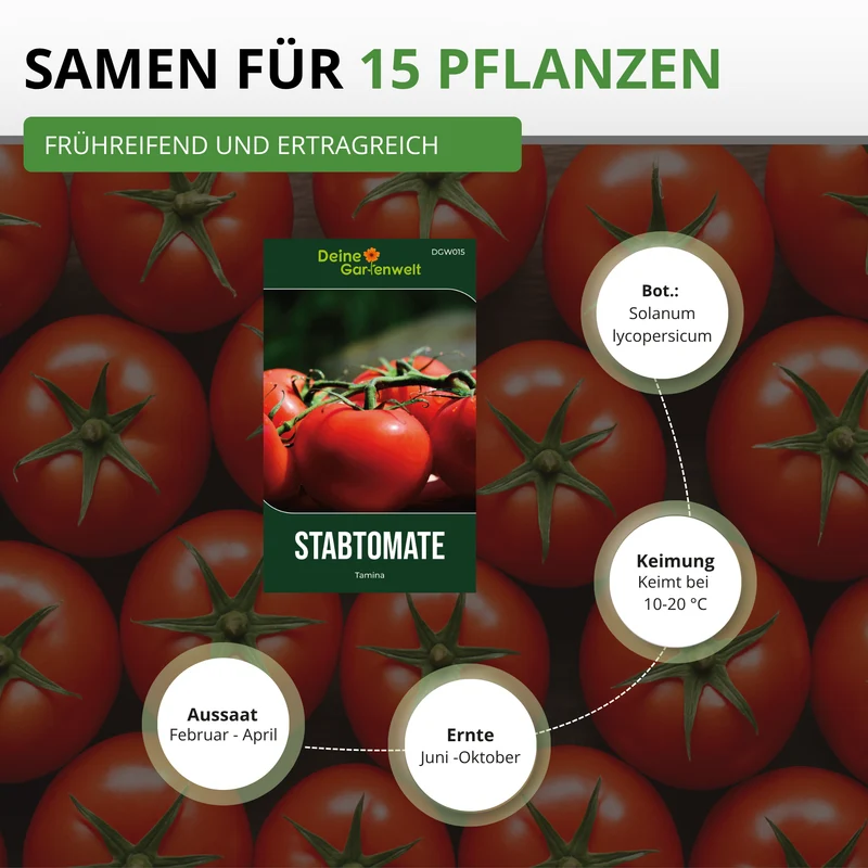 Stabtomate Tamina Saatgut