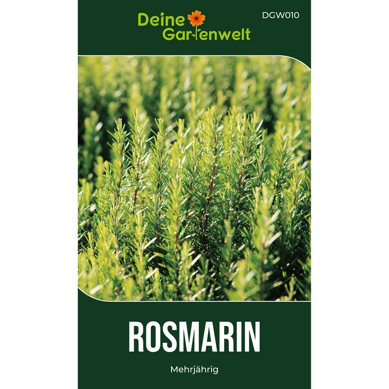 Rosmarin Saatgut
