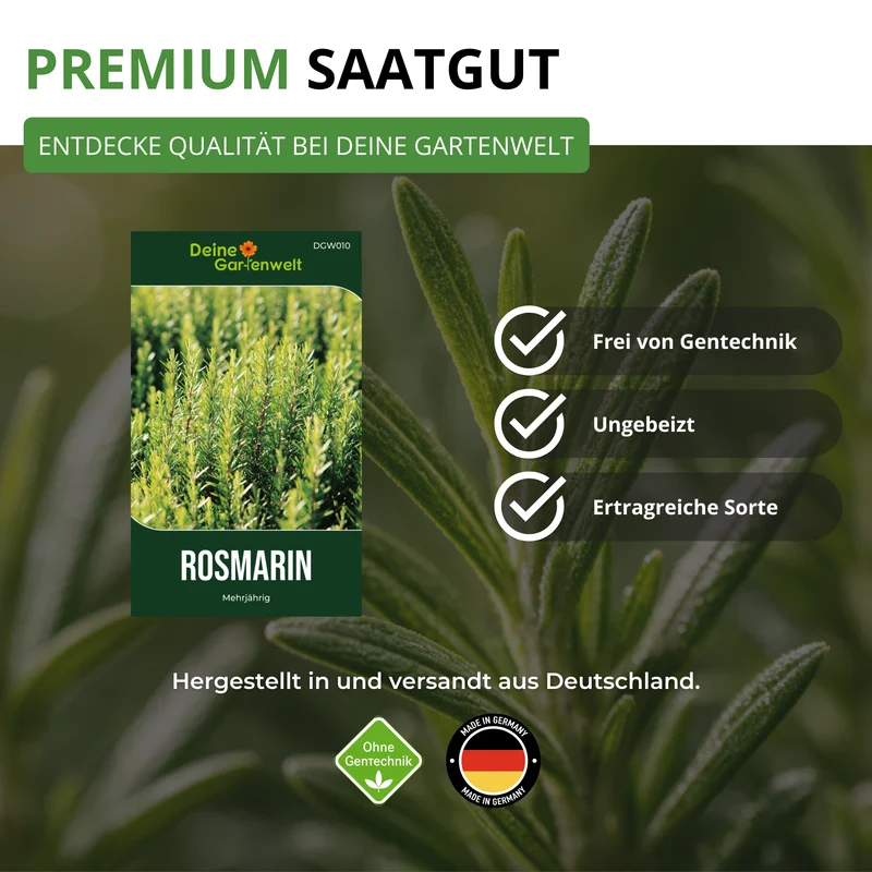 Rosmarin Saatgut