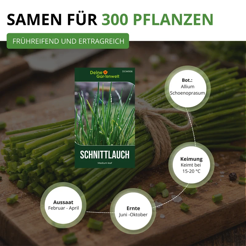 Schnittlauch Medium Leaf Saatgut