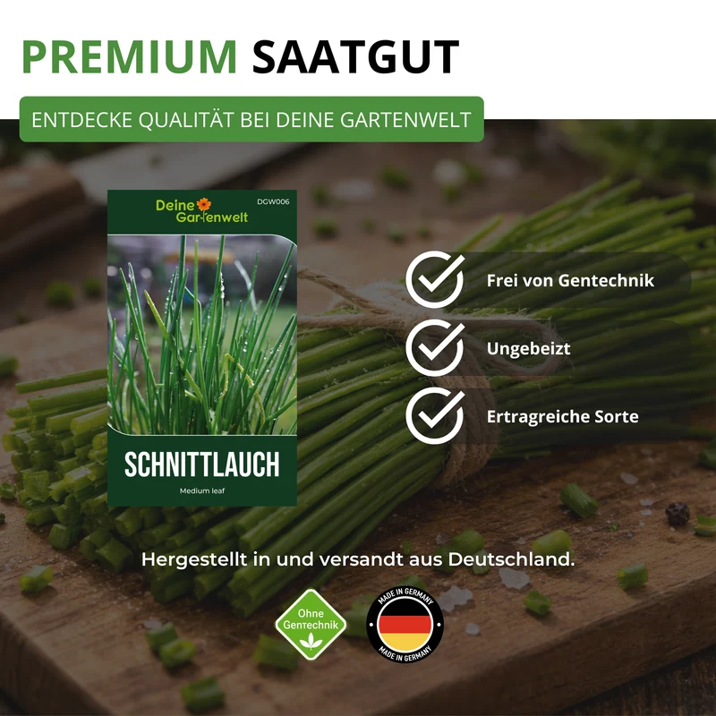 Schnittlauch Medium Leaf Saatgut