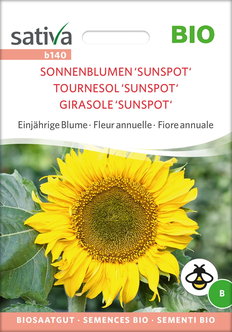 Sonnenblume Sunspot | BIO Sonnenblumensamen von Sativa Rheinau [MHD 12/2024]