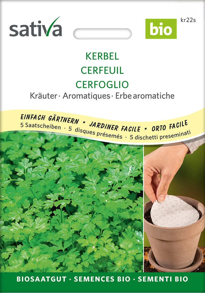 Kerbel 'Commun' (Saatscheiben) | BIO Saatbänder & Saatplatten von Sativa Rheinau [MHD 12/2025]