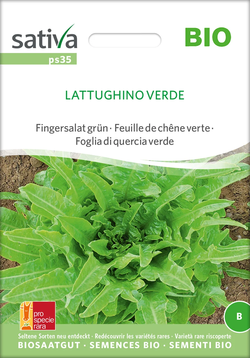 Fingersalat Lattughino Verde | BIO Fingersalatsamen von Sativa Rheinau [MHD 12/2025]