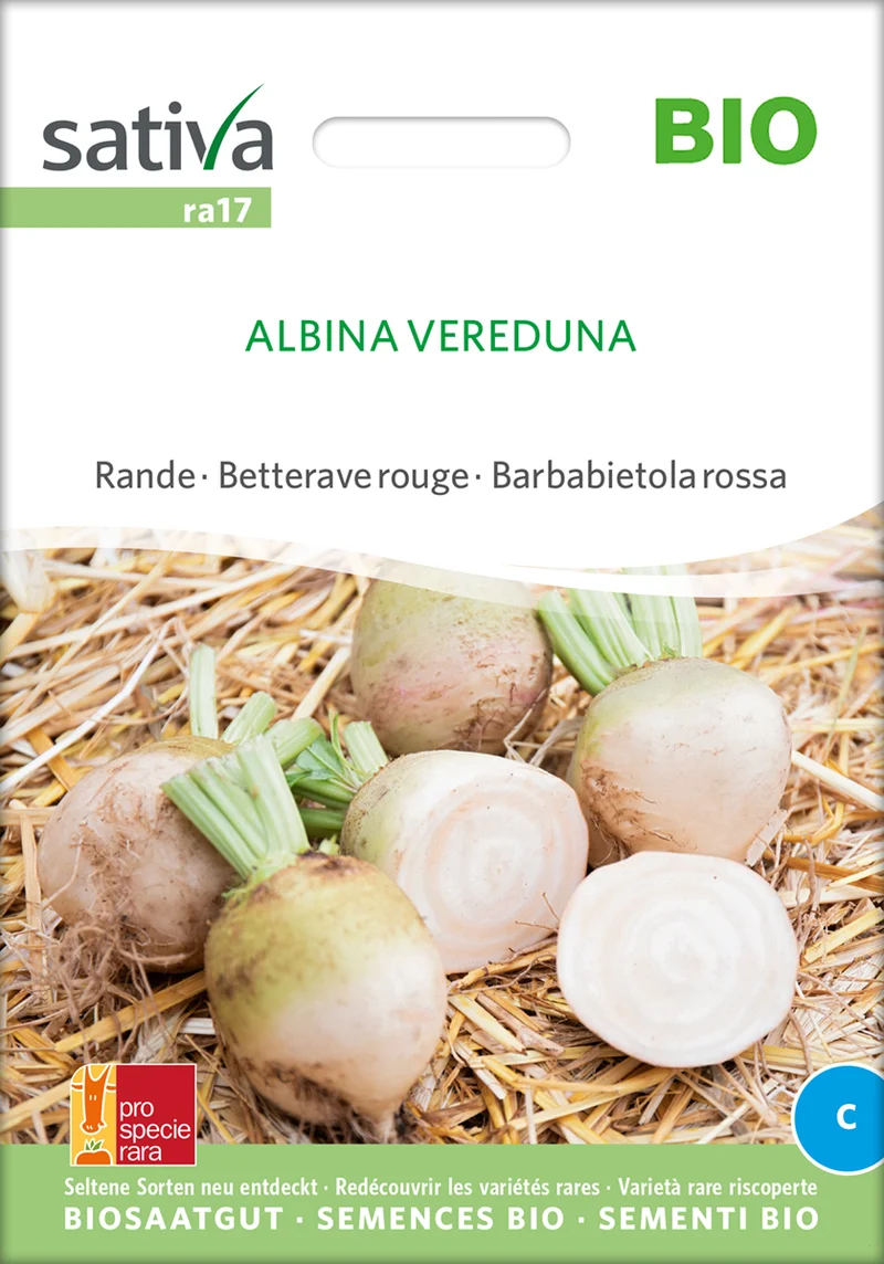 Rote Rübe Vereduna Alba | BIO Rübensamen von Sativa Rheinau [MHD 12/2025]