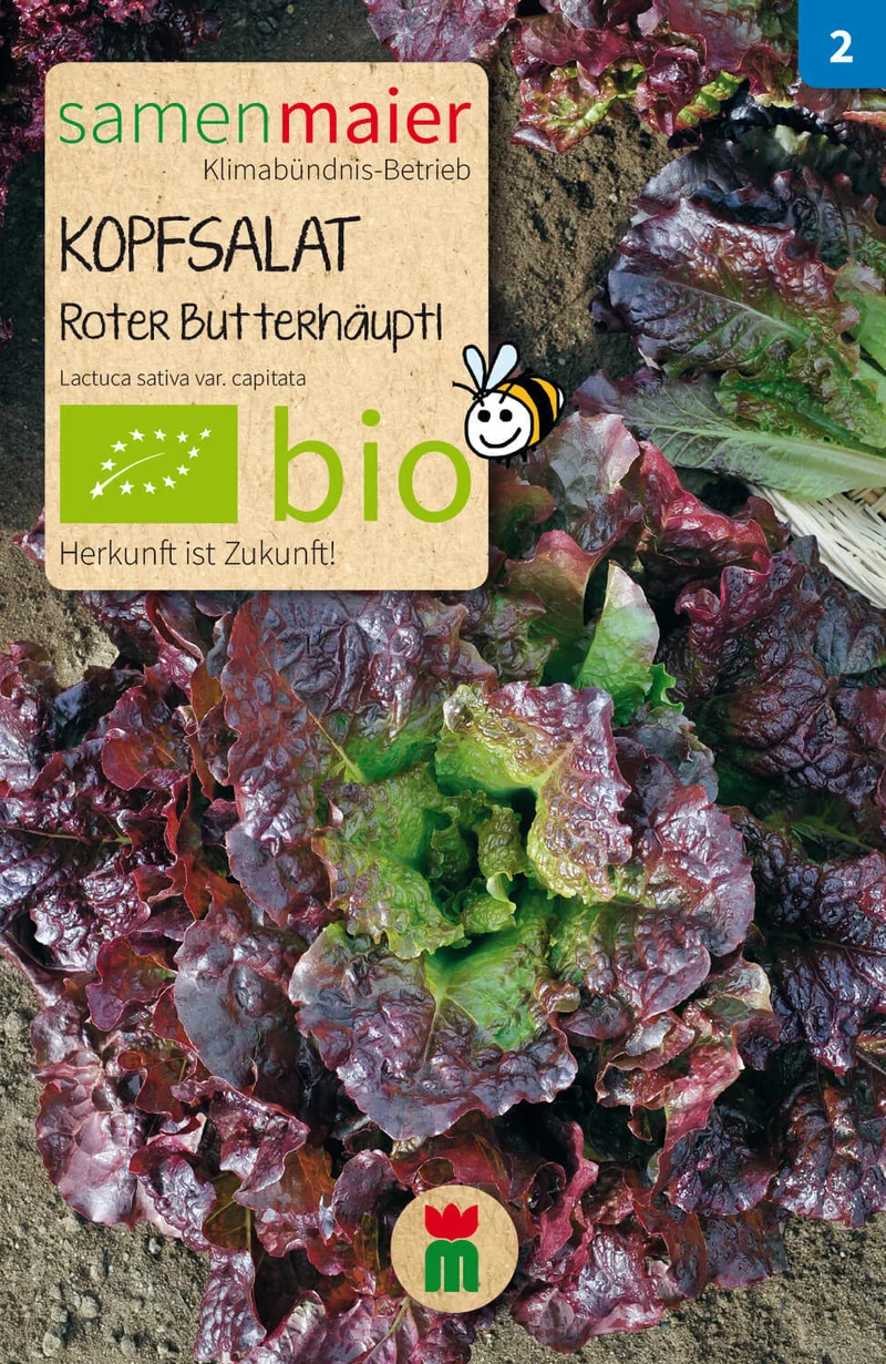 Beet - Box Danke Mama | BIO Gemüsesamen-Sets von Samen Maier [MHD 12/2025]