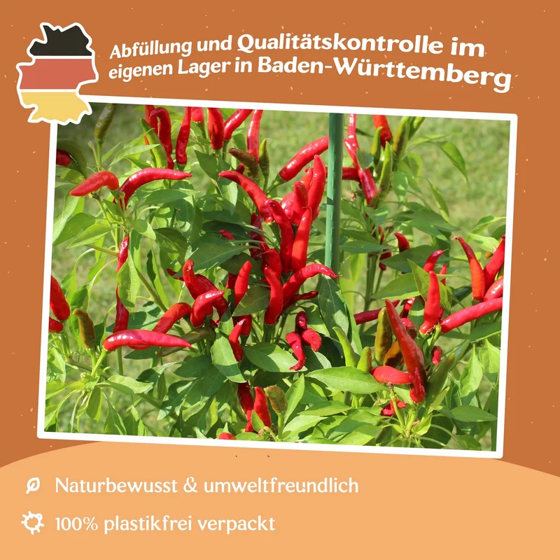 Chili Bird's Eye Samen