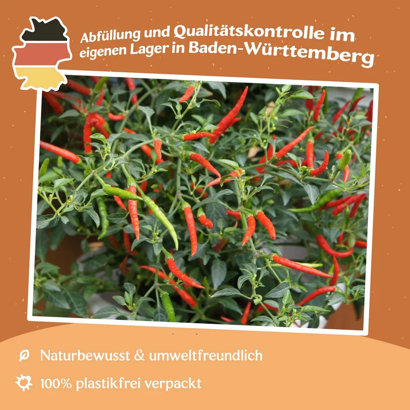 Chili Damian Samen