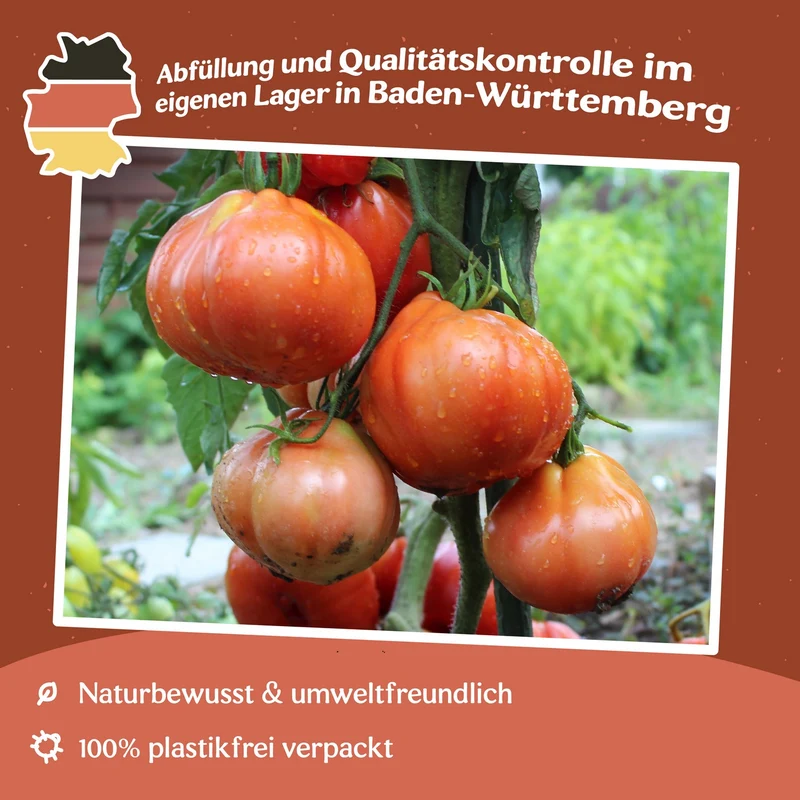 Red Pear Tomatensamen