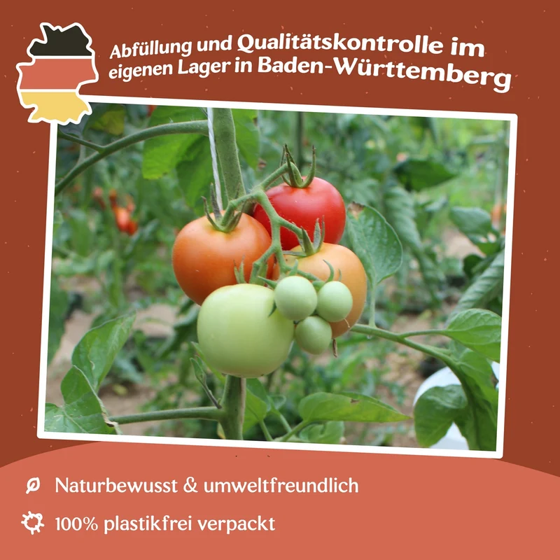 Tamina Tomatensamen