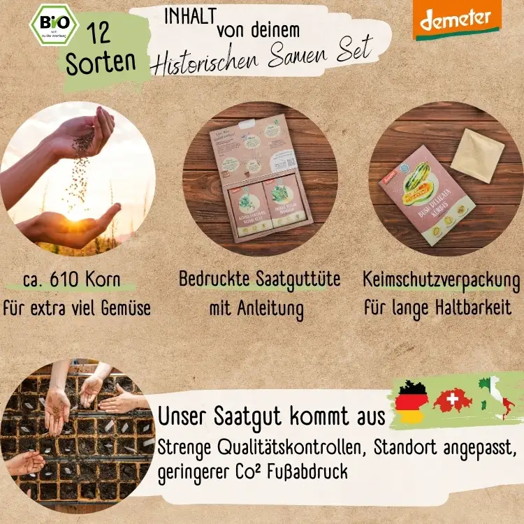 Dein 12 Demeter Historisches Gemüse Samen Set